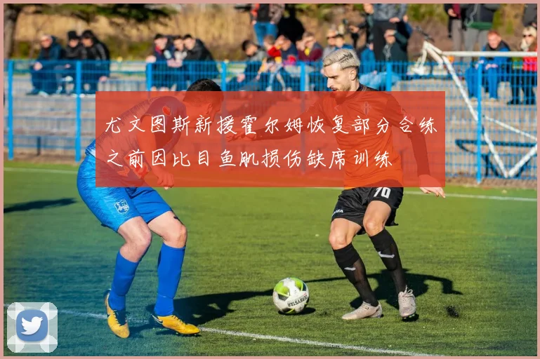尤文图斯新援霍尔姆恢复部分合练之前因比目鱼肌损伤缺席训练